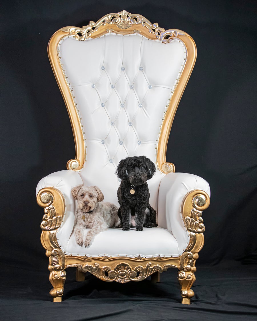 Single Seat Throne Chair K P Party Rental